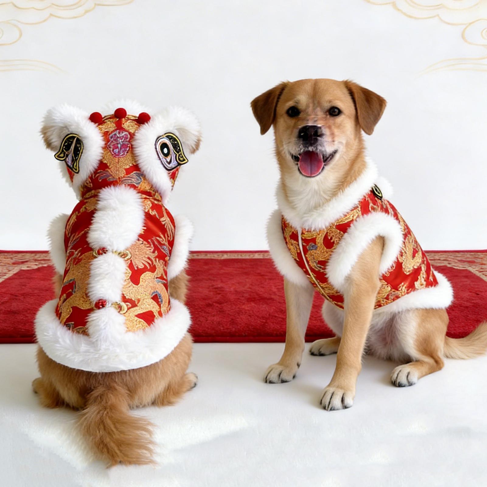 Winter Clothing Dress Up - Leeuwendans Kattenkostuum Winter Puppykleding Kitten Verkleedkleding