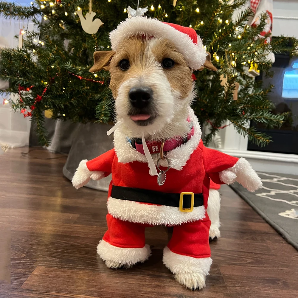 Winter Clothing Dress Up - Kerstkleding voor honden Katten Nieuwjaar Kerstman