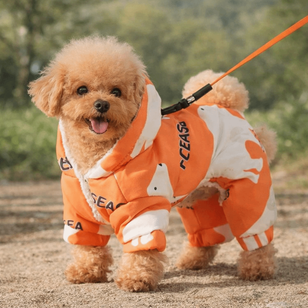 Winter Clothing Line - Leuke warme hond winterkleding anti-verlies dik