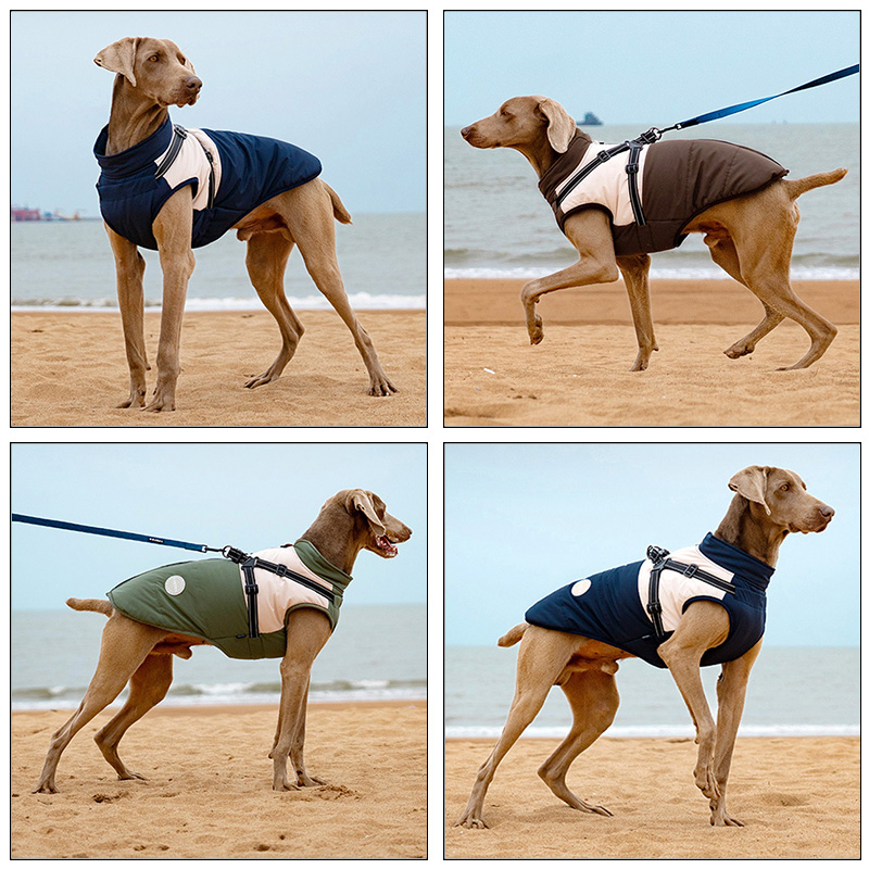 Warm hondenvest met ingebouwd  - Winter Clothing Line recensie en prijs