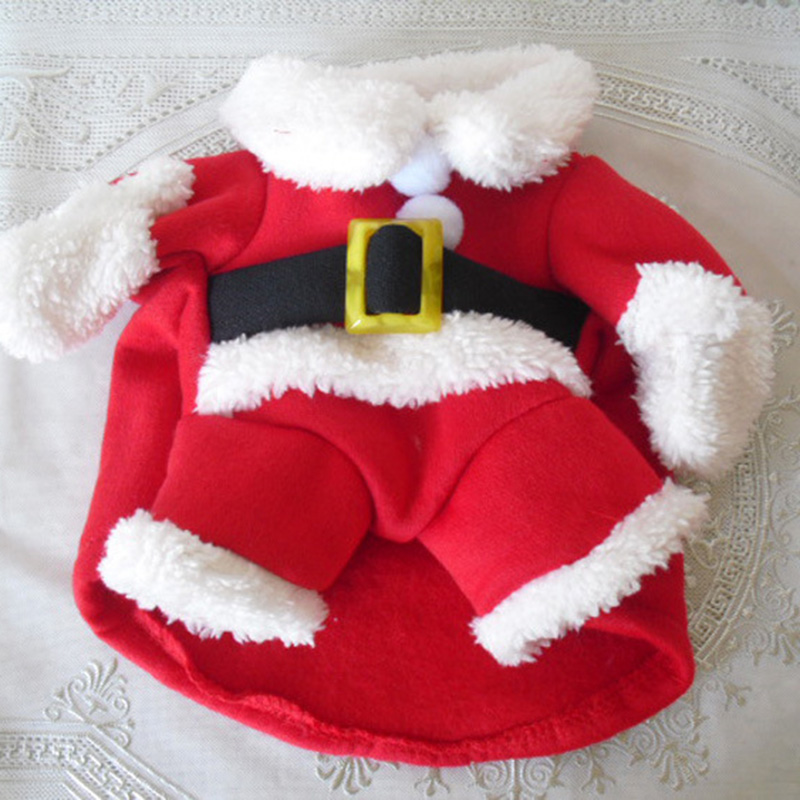 Winter Hond Jas Jas Voor Klein - Winter Clothing Dress Up recensie en prijs