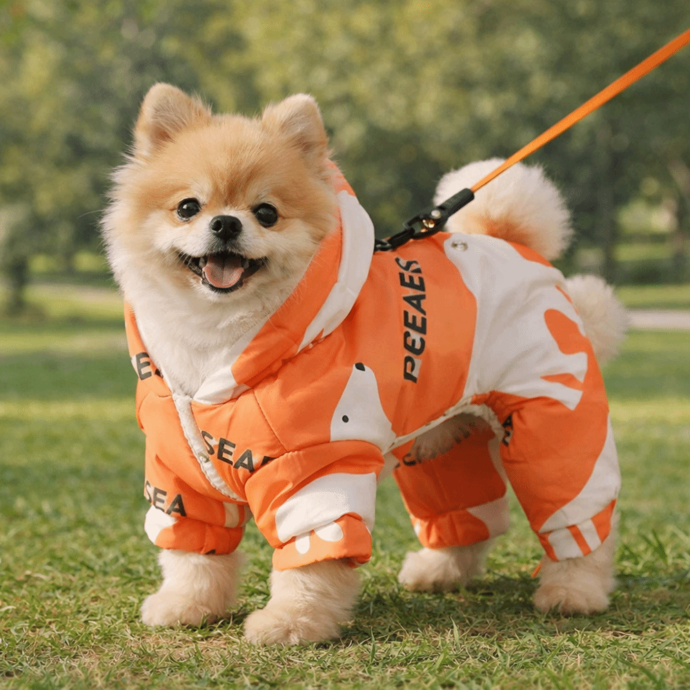 Leuke warme hond winterkleding - Winter Clothing Line recensie en prijs